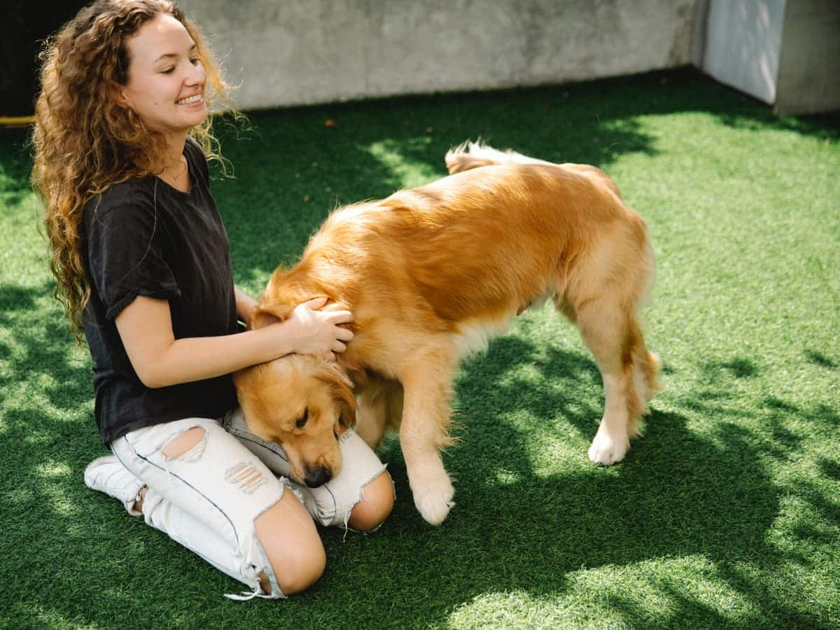 Cómo limpiar los excrementos de tus mascotas en césped artificial?